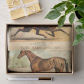 paarden Ephemera Decoupage Tissuepapier (Geschenk)