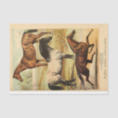  paarden Ephemera Decoupage Tissuepapier (Voorkant)