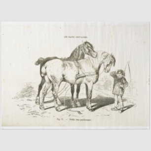 Paarden Ephemera ontkoppelen  Franse jongen Tissuepapier