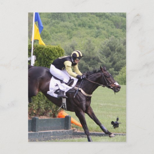 Paarden Eventing Briefkaart (Voorkant)