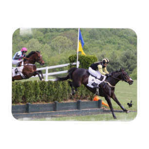 Paarden Eventuele Premium Magnet Magneet