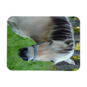 Paarden Flexibele magneet (Horizontaal)