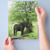 PAARDEN FLYER (Hand)