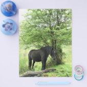 PAARDEN FLYER (Enkel)