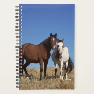 Paarden Foto Equine Buddies Planner