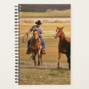 Paarden Foto Equine Cowboy Kudde Boerderij Planner