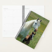 Paarden Foto Equine Mare Foal Tall Grass Planner (Display)