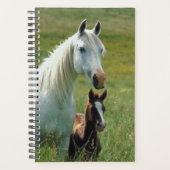 Paarden Foto Equine Mare Foal Tall Grass Planner (Voorkant)