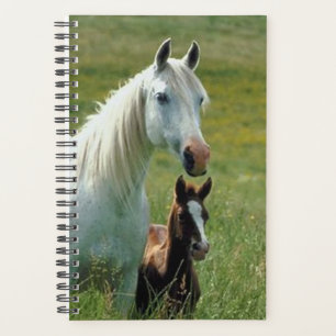 Paarden Foto Equine Mare Foal Tall Grass Planner