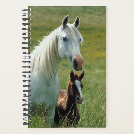 Paarden Foto Equine Mare Foal Tall Grass Planner (Voorkant)