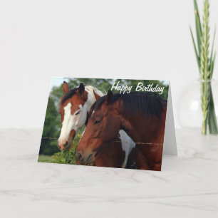 Paarden Foto Happy Birthday Kaart