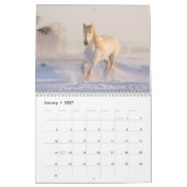 Paarden Foto Kalender 2026 (Jan 2027)