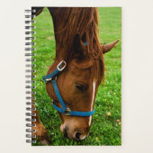 Paarden Foto van Equine Grazing Chestnut Stripe Planner (Voorkant)