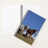 Paarden Foto van paardachtigen — Permanent paarden Planner (Display)