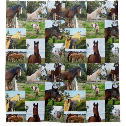 Paarden Fotocollage Badkamer Douche Gordijn (Voorkant)