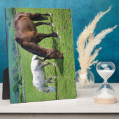 Paarden Fotoplaat (Zijkant)