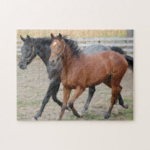 Paarden Galloping Legpuzzel