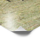 Paarden genieten van het brede open westen foto afdruk (Hoek)