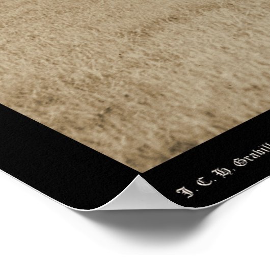 Paarden gerold door Cowboys SD 1887 Poster (Hoek)