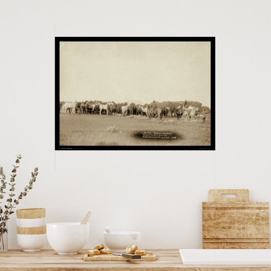 Paarden gerold door Cowboys SD 1887 Poster (Keuken)