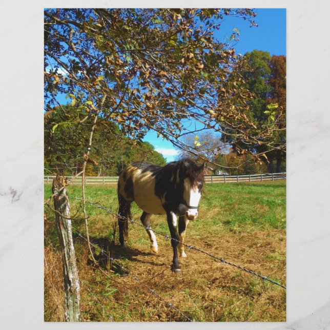 Paarden, geschilderd, (Voorkant)