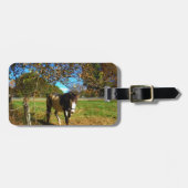 Paarden, geschilderd, bagagelabel (Voorkant horizontaal)