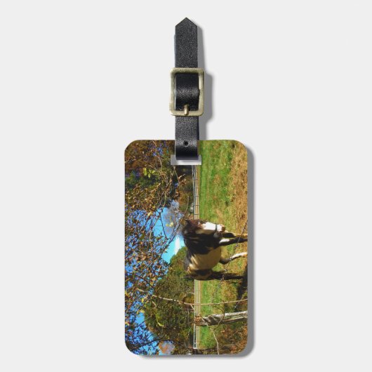 Paarden, geschilderd, bagagelabel (Voorkant verticaal)