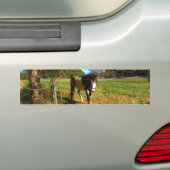 Paarden, geschilderd, bumpersticker (Op auto)