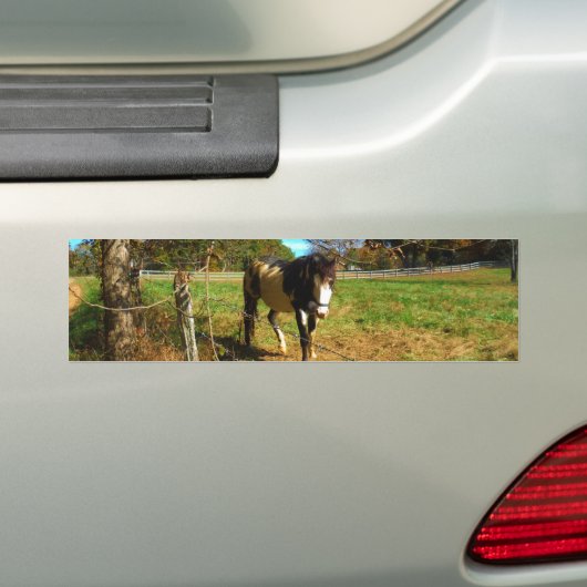 Paarden, geschilderd, bumpersticker (Op auto)