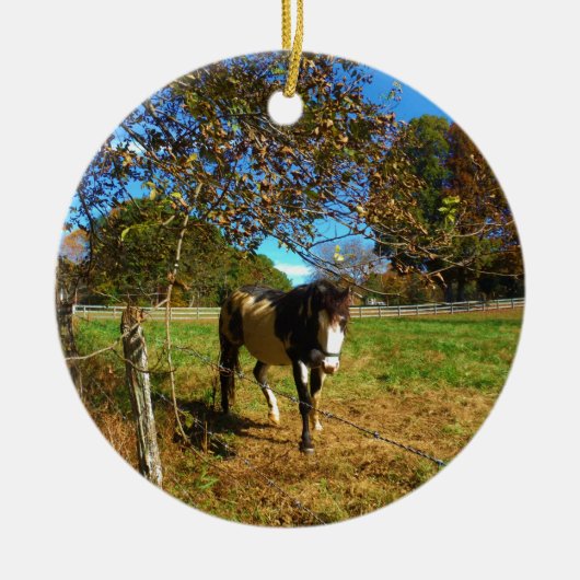 Paarden, geschilderd, keramisch ornament (Voorkant)
