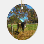 Paarden, geschilderd, keramisch ornament (Links)