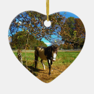 Paarden, geschilderd, keramisch ornament