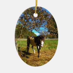 Paarden, geschilderd, keramisch ornament