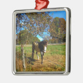 Paarden, geschilderd, metalen ornament (Links)