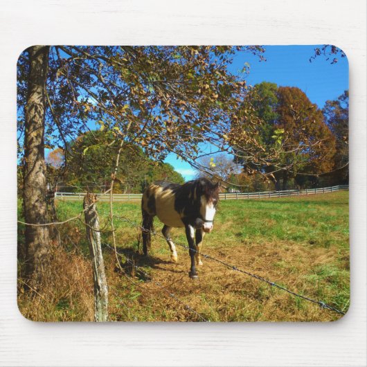 Paarden, geschilderd, muismat (Voorkant)