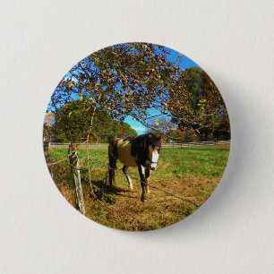 Paarden, geschilderd, ronde button 5,7 cm