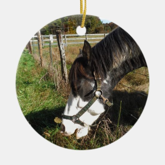 Paarden, geverfd, koningin en koningsbloem keramisch ornament (Voorkant)