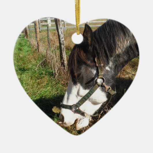 Paarden, geverfd, koningin en koningsbloem keramisch ornament (Voorkant)