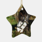 Paarden, geverfd, koningin en koningsbloem keramisch ornament (Rechts)