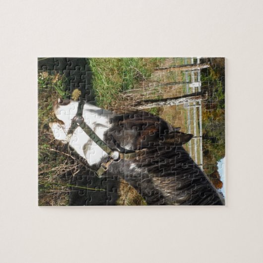 Paarden, geverfd, koningin en koningsbloem legpuzzel (Horizontaal)