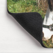 Paarden, geverfd, koningin en koningsbloem muismat (Hoek)