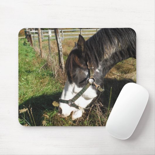 Paarden, geverfd, koningin en koningsbloem muismat (Met muis)