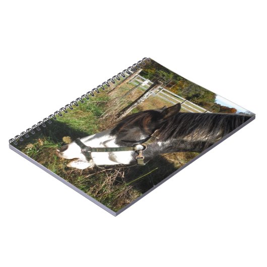 Paarden, geverfd, koningin en koningsbloem notitieboek (Linkerzijde)