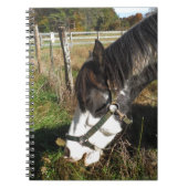 Paarden, geverfd, koningin en koningsbloem notitieboek (Voorkant)