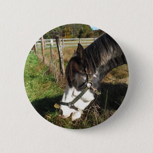 Paarden, geverfd, koningin en koningsbloem ronde button 5,7 cm (Voorkant)