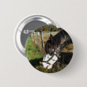 Paarden, geverfd, koningin en koningsbloem ronde button 5,7 cm (Voorkant /achterkant)