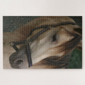 Paarden gluren hun hoofd over staldeuren legpuzzel (Horizontaal)