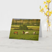 Paarden grazen bij Bower Hinton, worden snel beter Kaart (Gele Bloem)