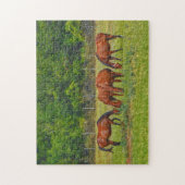  paarden grazen in een groene weide puzzel (Verticaal)