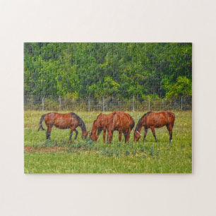  paarden grazen in een Texaanse weide vredig Legpuzzel